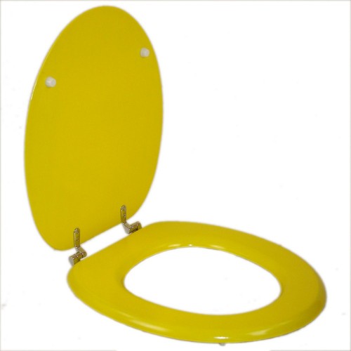 Coprivaso bagno sedile